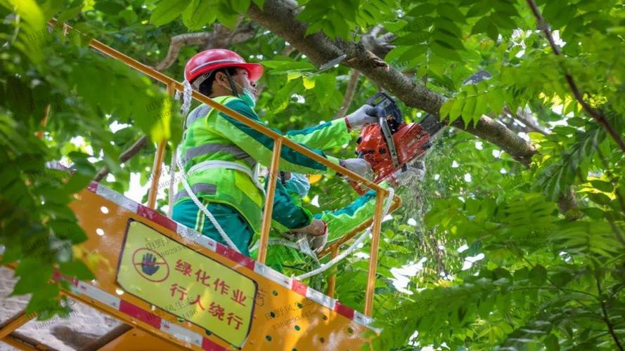 珠海道路园林绿化工程预算