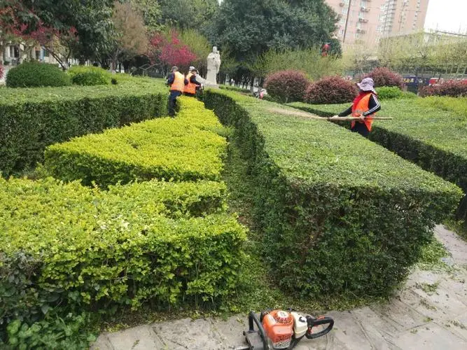 沭阳景之程园林绿化工程