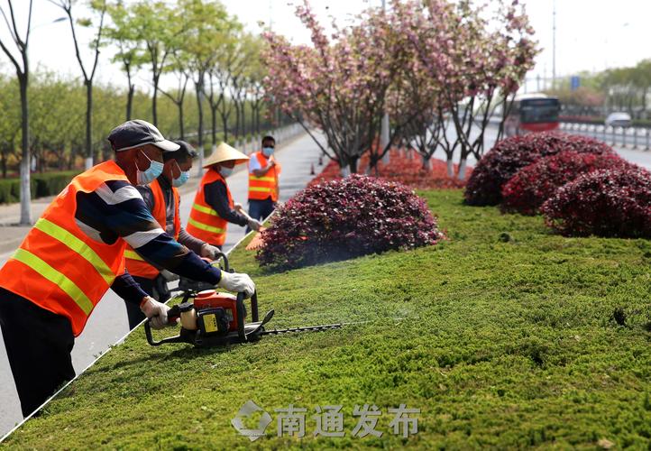 桐林雨露绿化工程有限公司